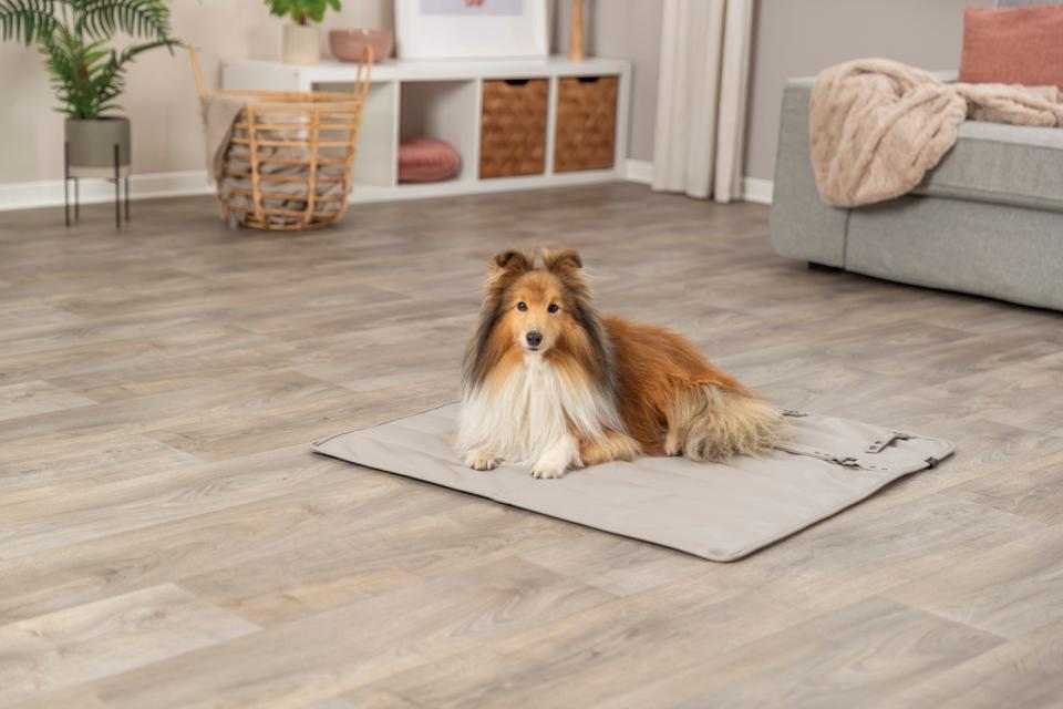 Trixie CityStyle rejsetæppe