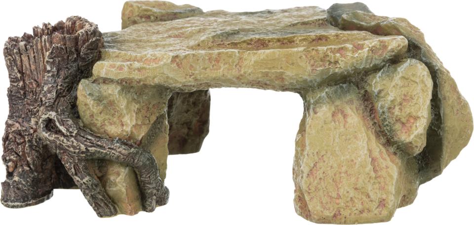 Rock Plateau with Tree Stump