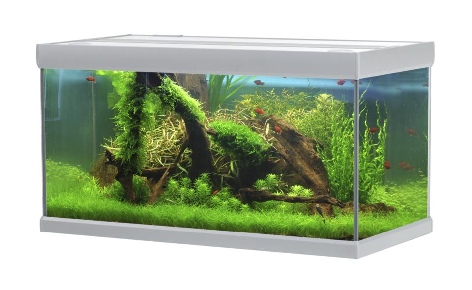 AkvaStabil FUSION aquarium