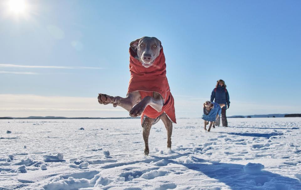 Hurtta Extreme Warmer III ECO