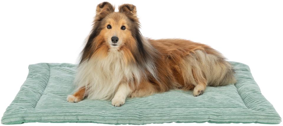 Trixie Jonna lying mat