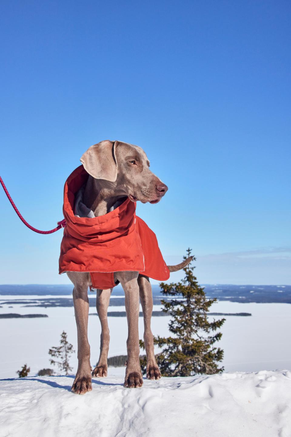 Hurtta Extreme Warmer III ECO