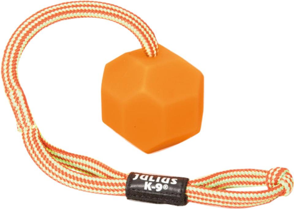 Ball with ropel handle