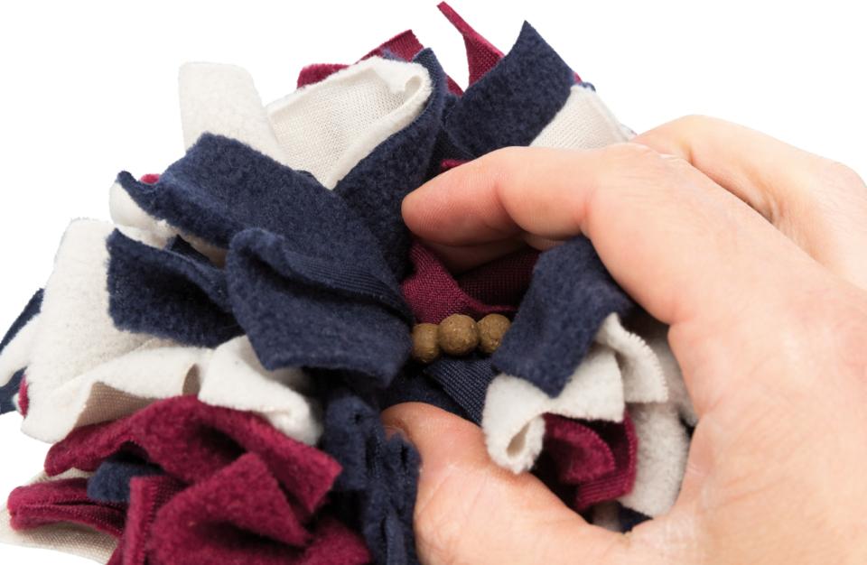 Dog activity snuse bold