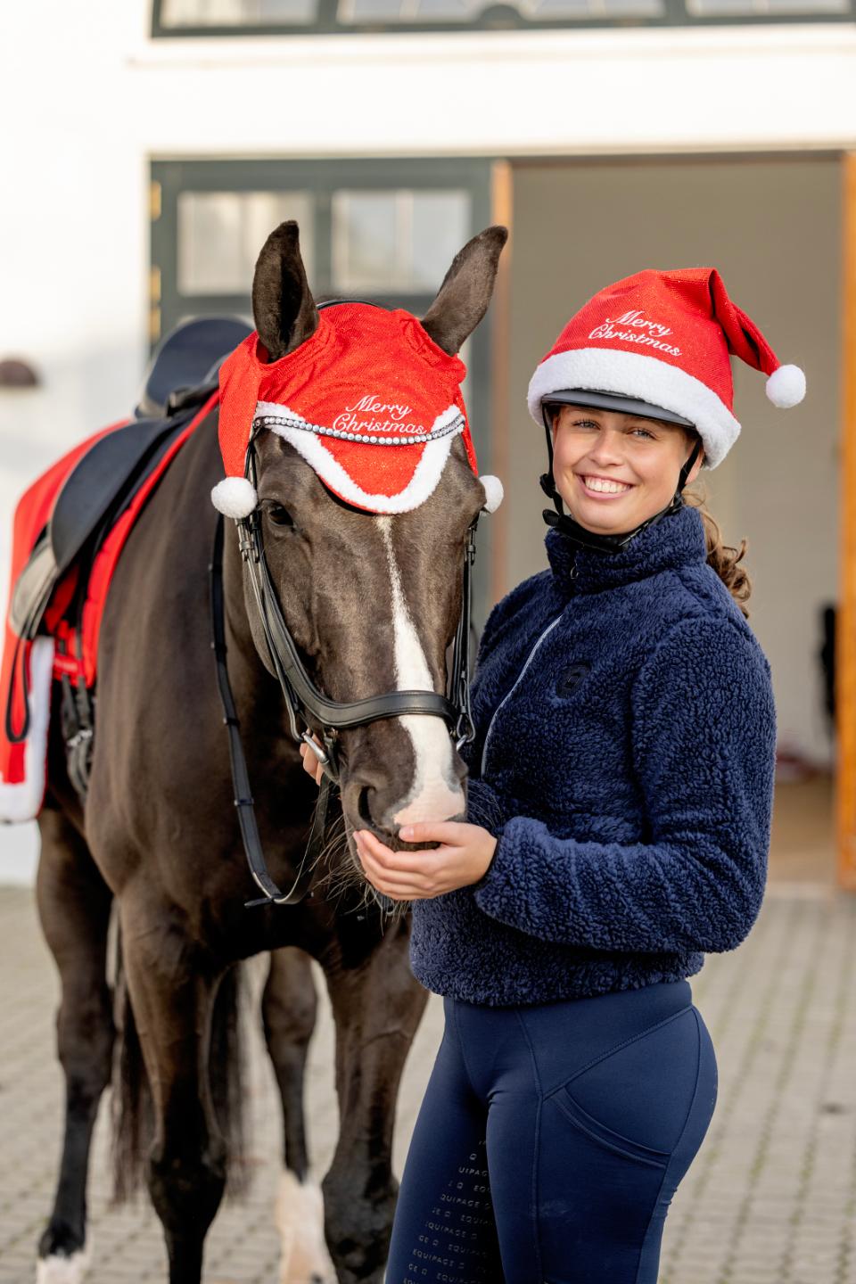 Horse Guard-Weihnachtsmannmütze mit Glitter für Helm