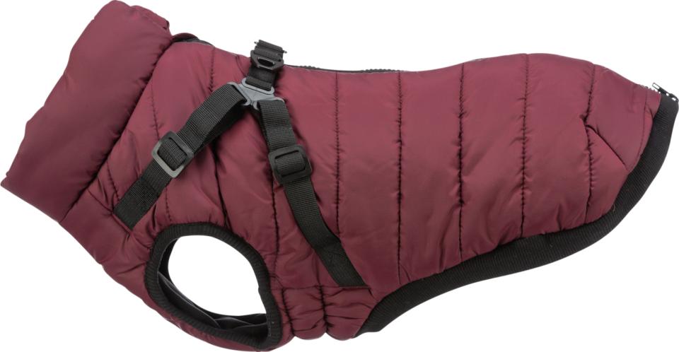 Trixie Pirou winter coat with dog harness