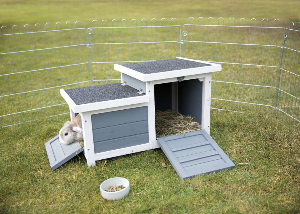 Small Animal Home