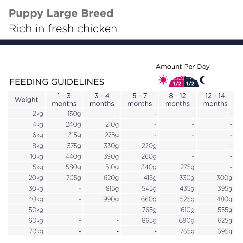 EUKANUBA Puppy & Junior Large Grainfree Kyckling