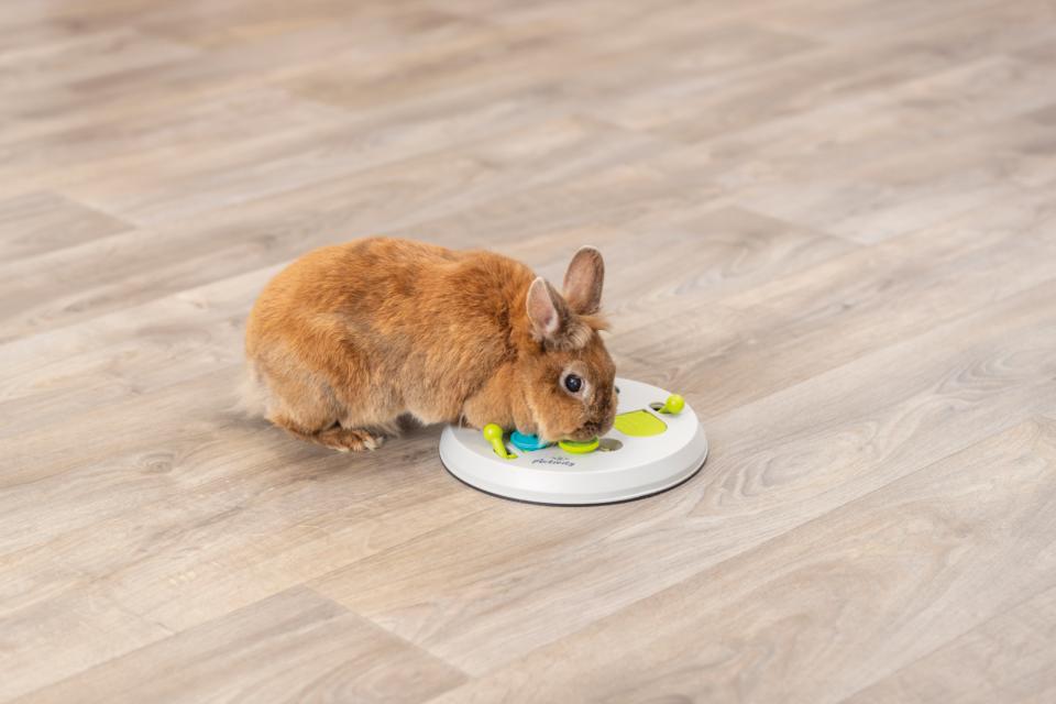 Flip Board Strategy Game