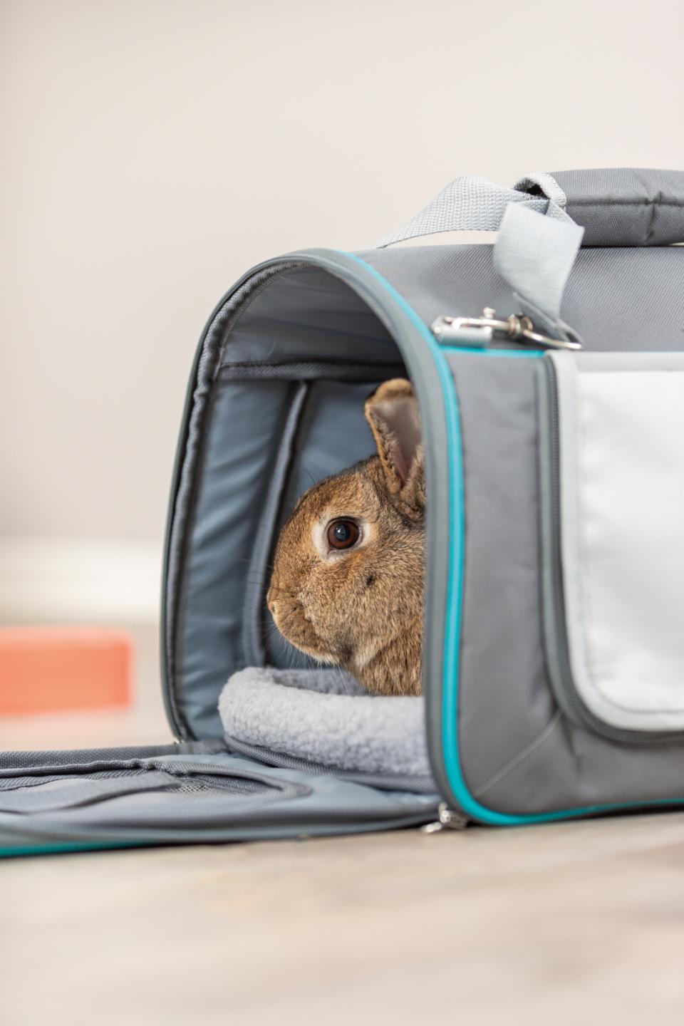 Trixie Vicky bære- og transporttaske