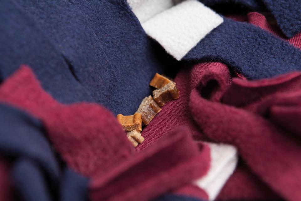 Schnüffelteppich Strategie-Spiel