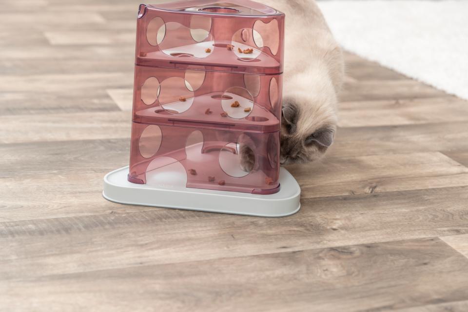 Trixie Cheese Tower