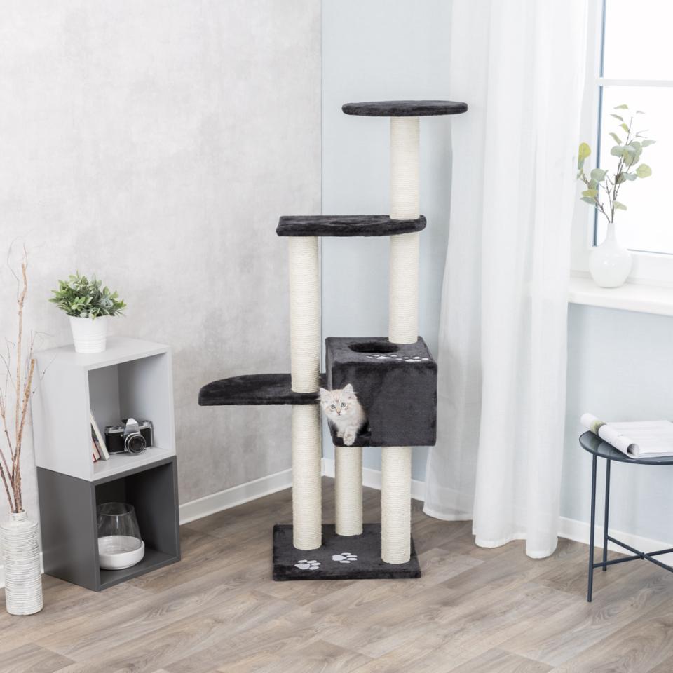 Alicante Scratching Post