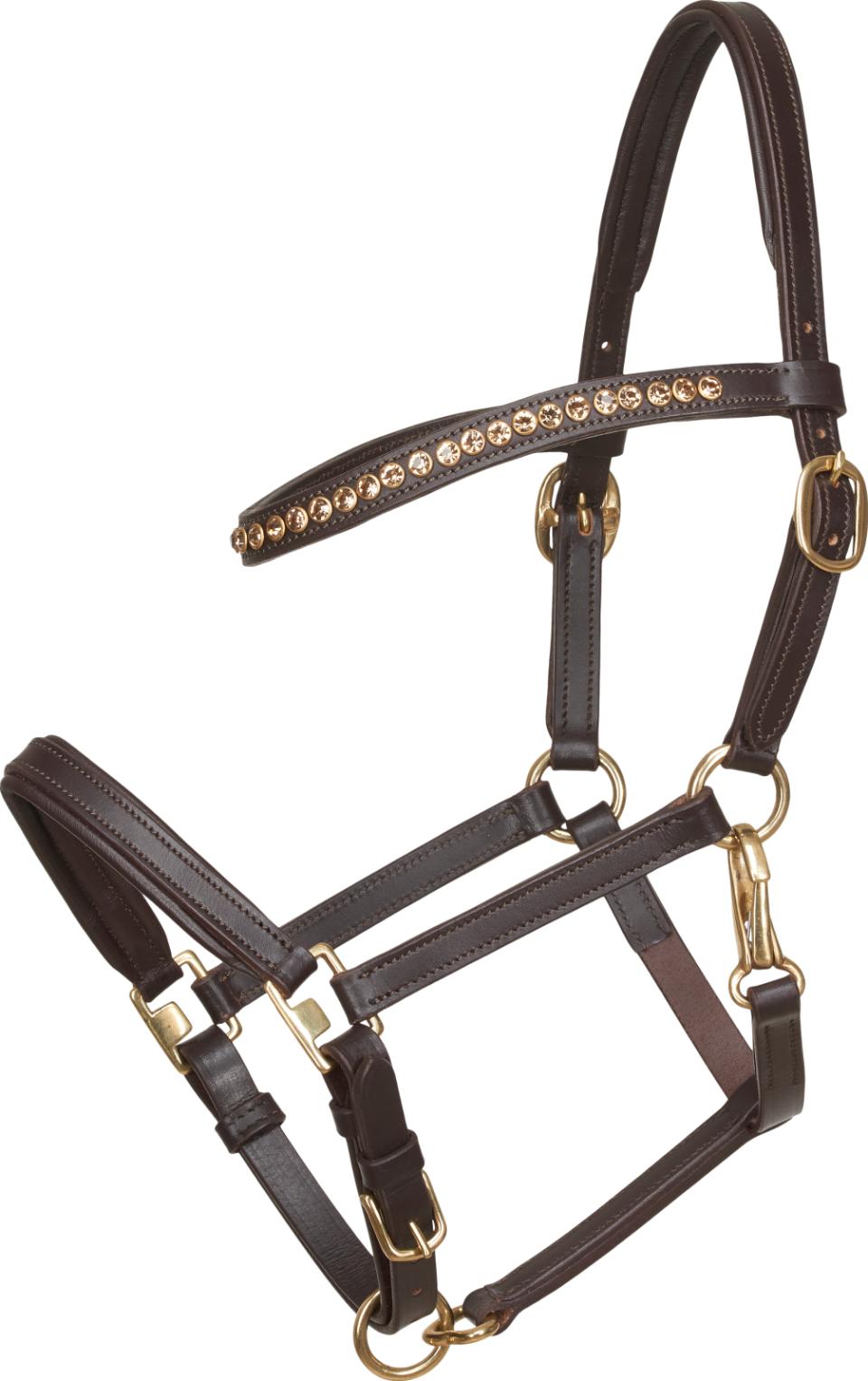 HorseGuard Föl showgrimma