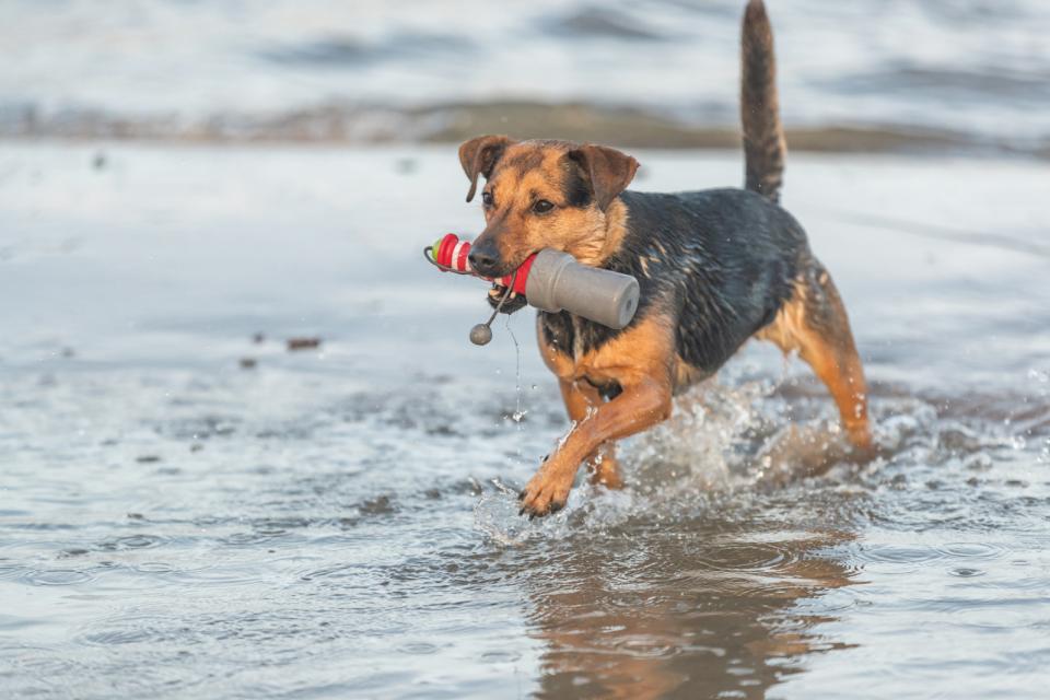 Trixie Aqua legetøj fyrtårn i TPR