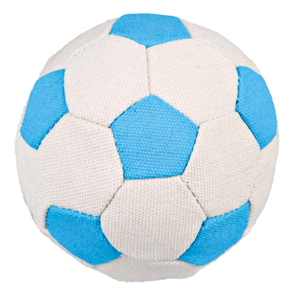 Canvas Ball
