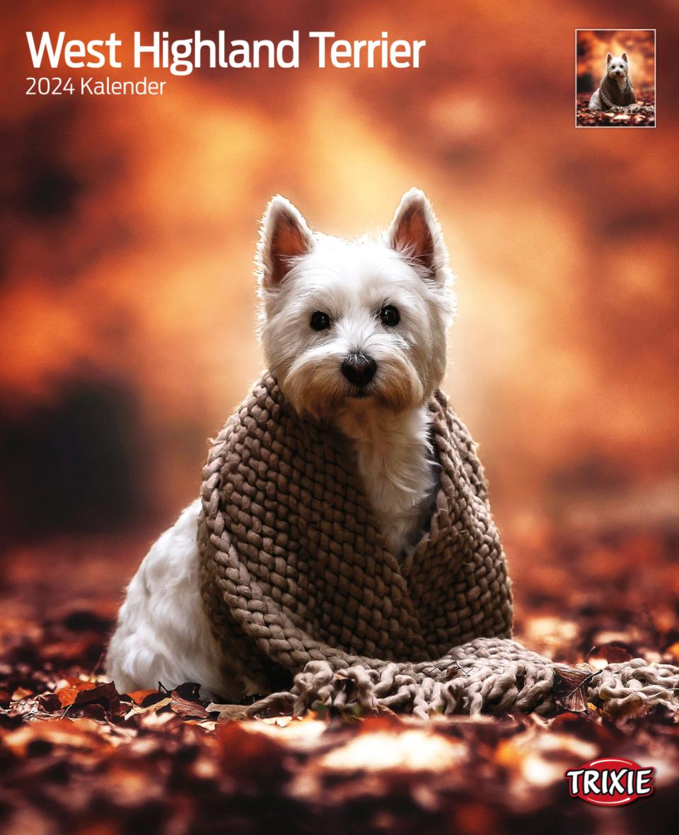 Calendar West Highland Terrier