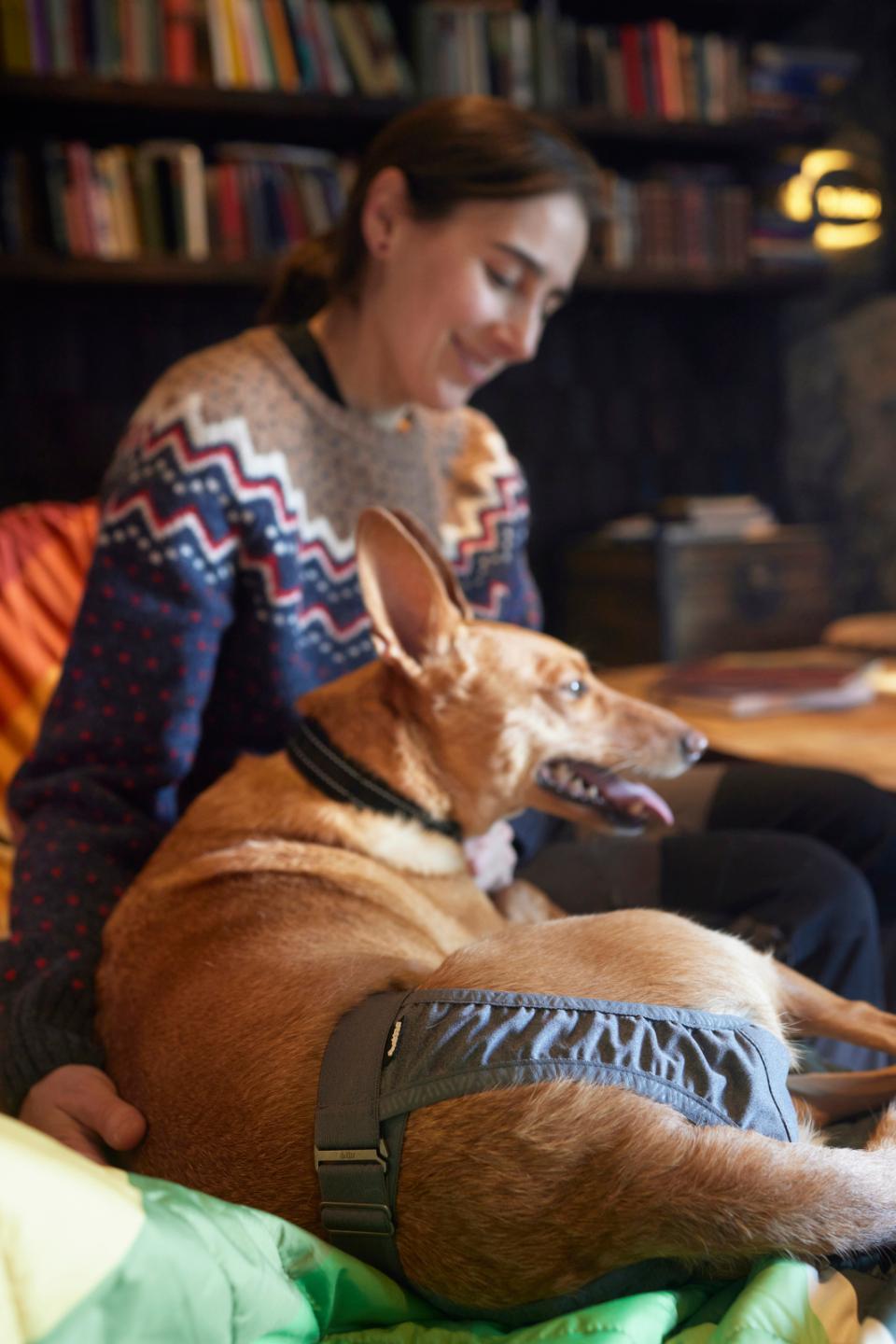 Hurtta Breezy Hygiene Pants ECO