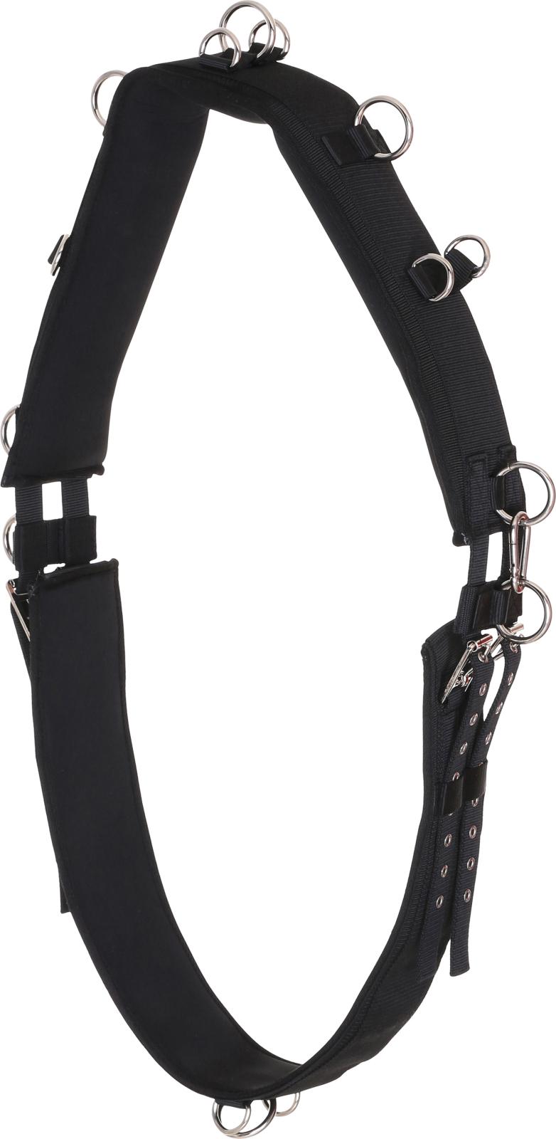 HorseGuard longegjord