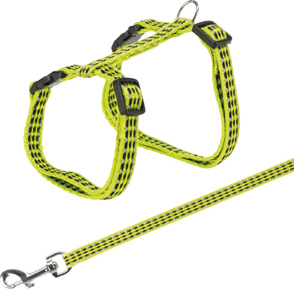 Harness with Leash, Reflecting