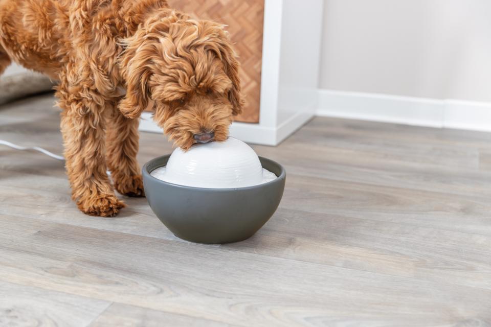 Trixie Vital Dome drikkefountain