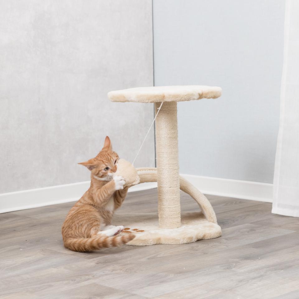 Junior Vitoria Scratching Post