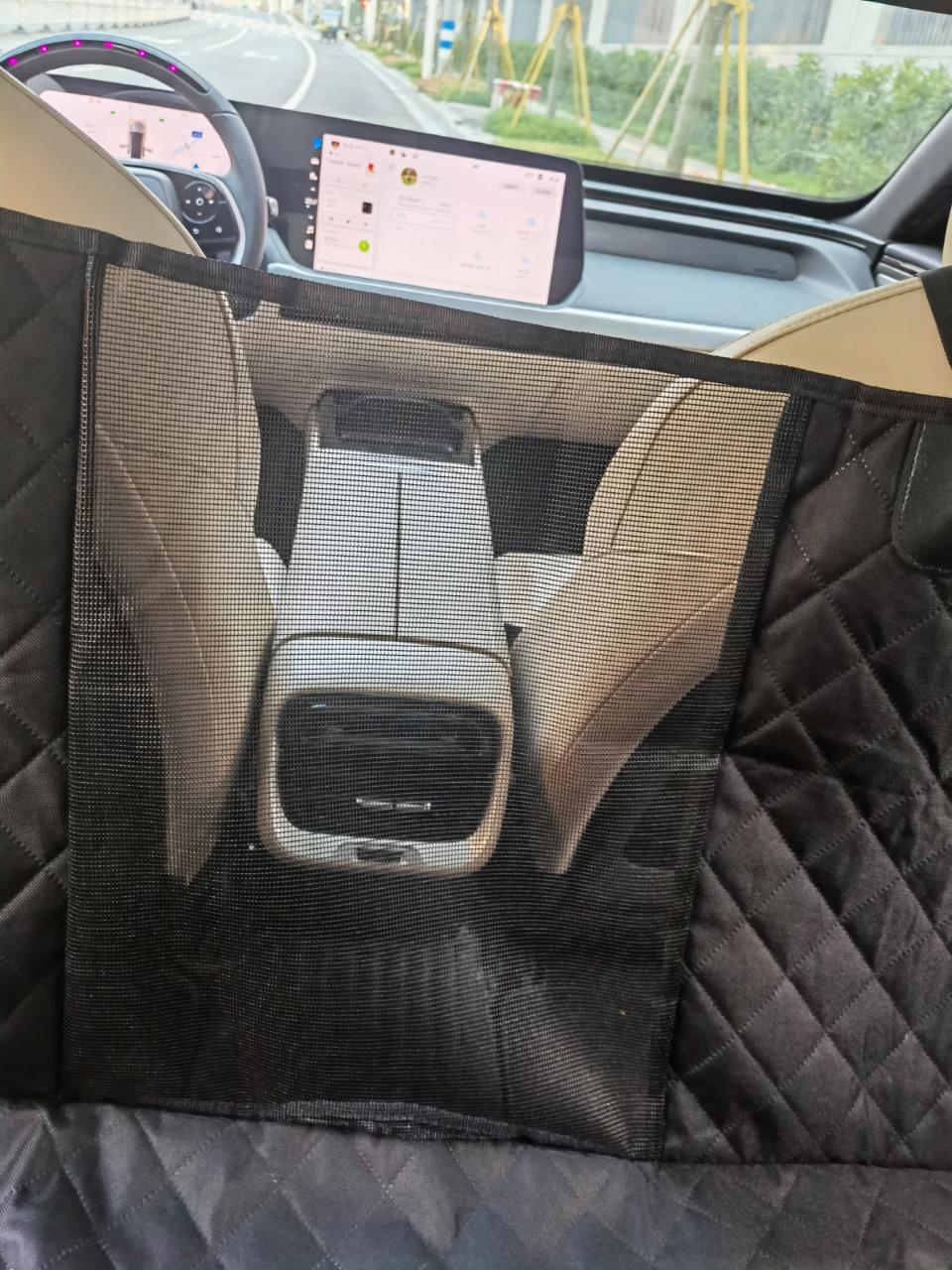 Companion Auto Schondecke