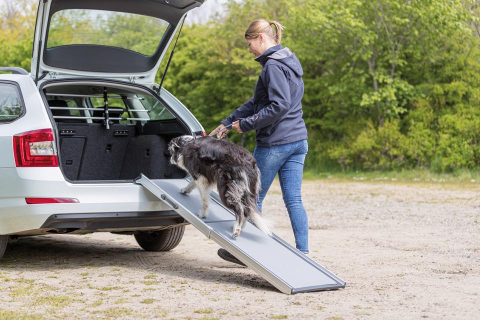 Petwalk Teleskopramp