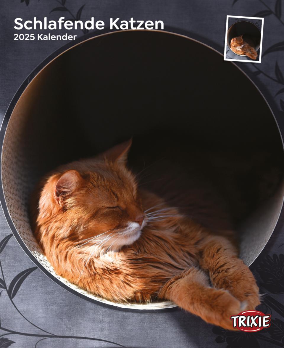 Kalender Sovende katte