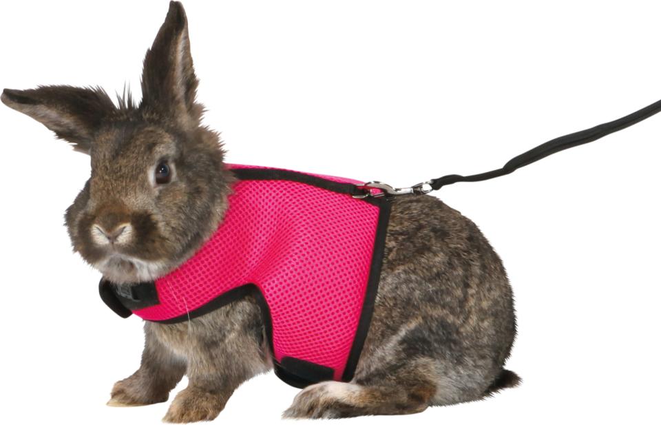 Soft Harness with Leash