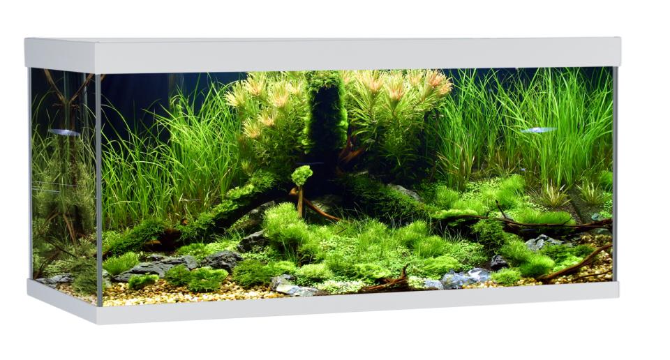 AkvaStabil ELEMENT Aquarium