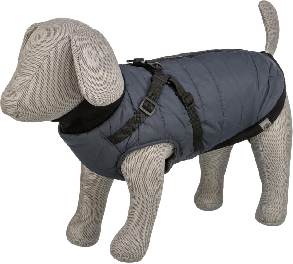 Trixie Pontis dog blanket with harness