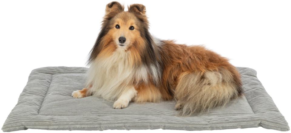 Trixie Jonna lying mat