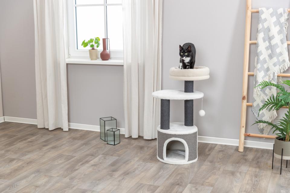 Trixie Marco scratching tree