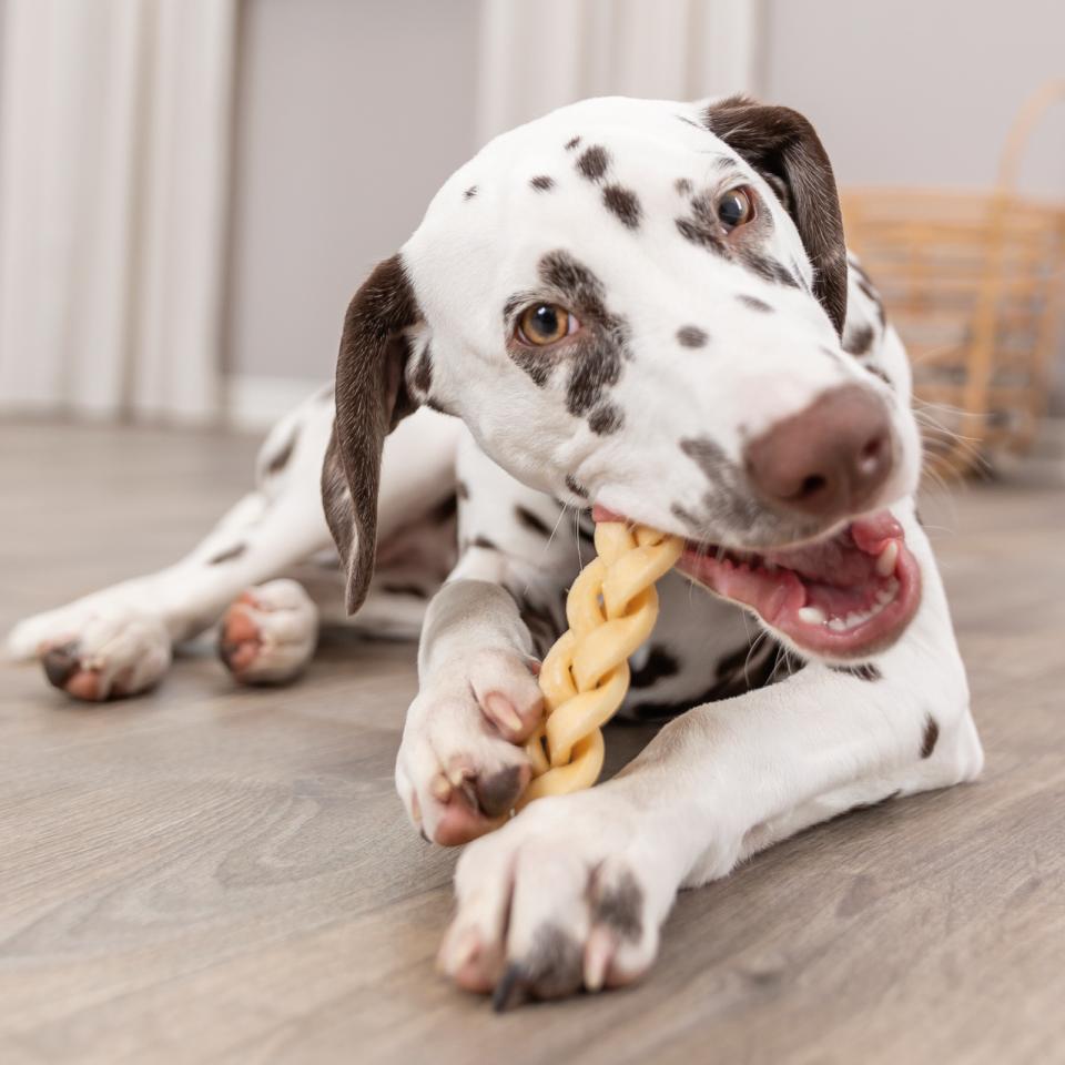 Trixie Buffalo sculp, flettet