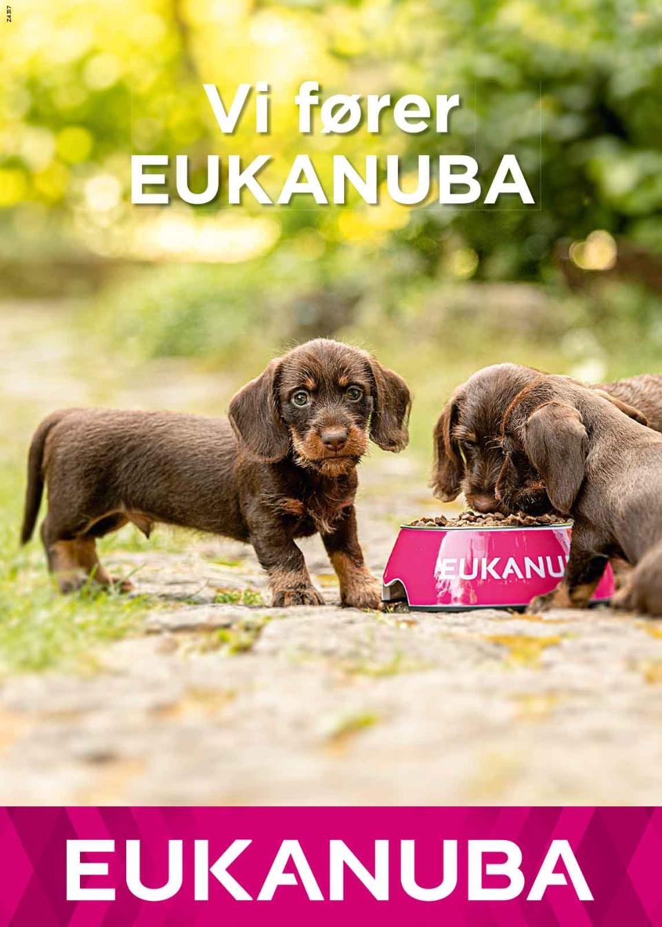 Eukanuba Butik Plakat - Vi fører Eukanuba