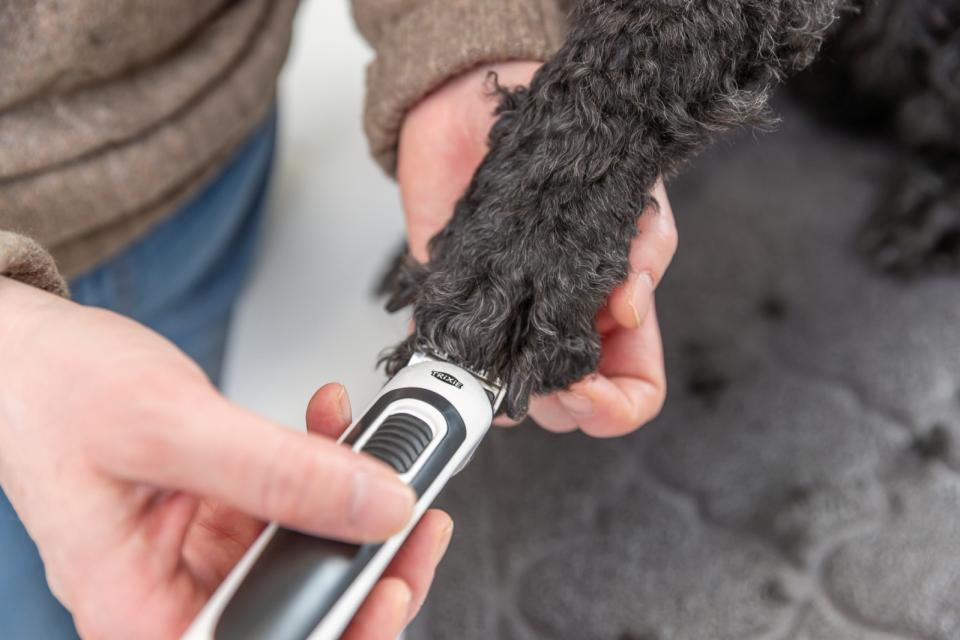 Trixie Battery Clipper SLIM TR500