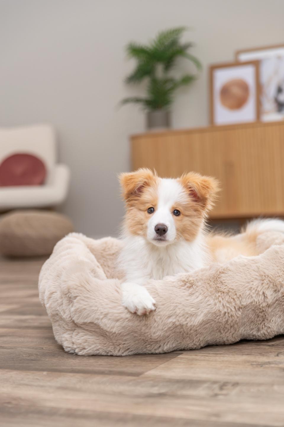 Trixie Elli dog bed, square