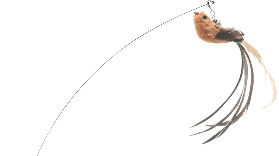 Companion heads for teasing rod