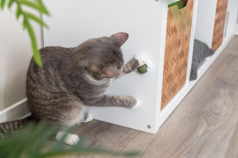 Catnip ball with holder