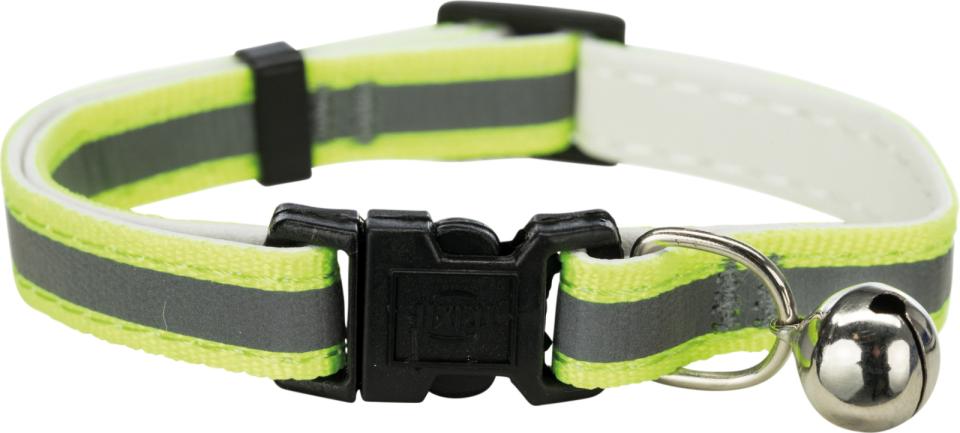 Junior Collar, Reflecting