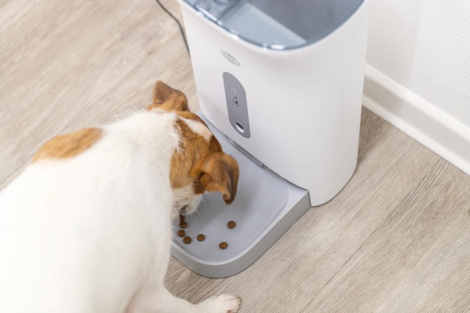 Smart aut.food dispenser