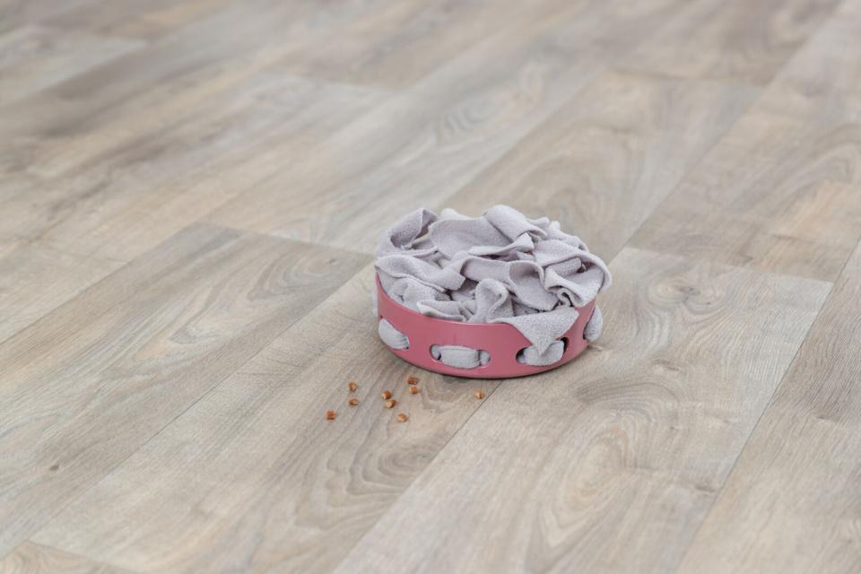 Trixie Cat Activity Hide'n'Sniff Bowl, plast