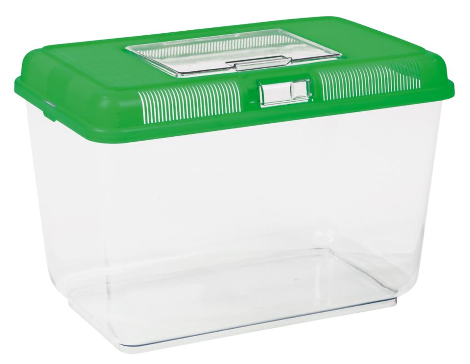 Transport and Feeding Box