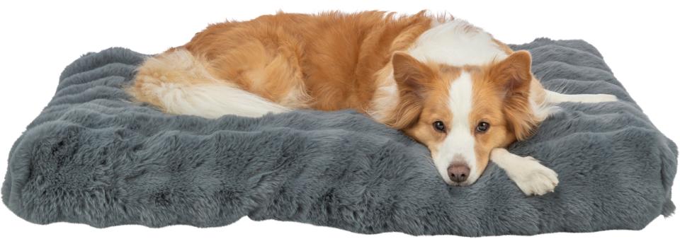 Trixie Elli dog cushion, square