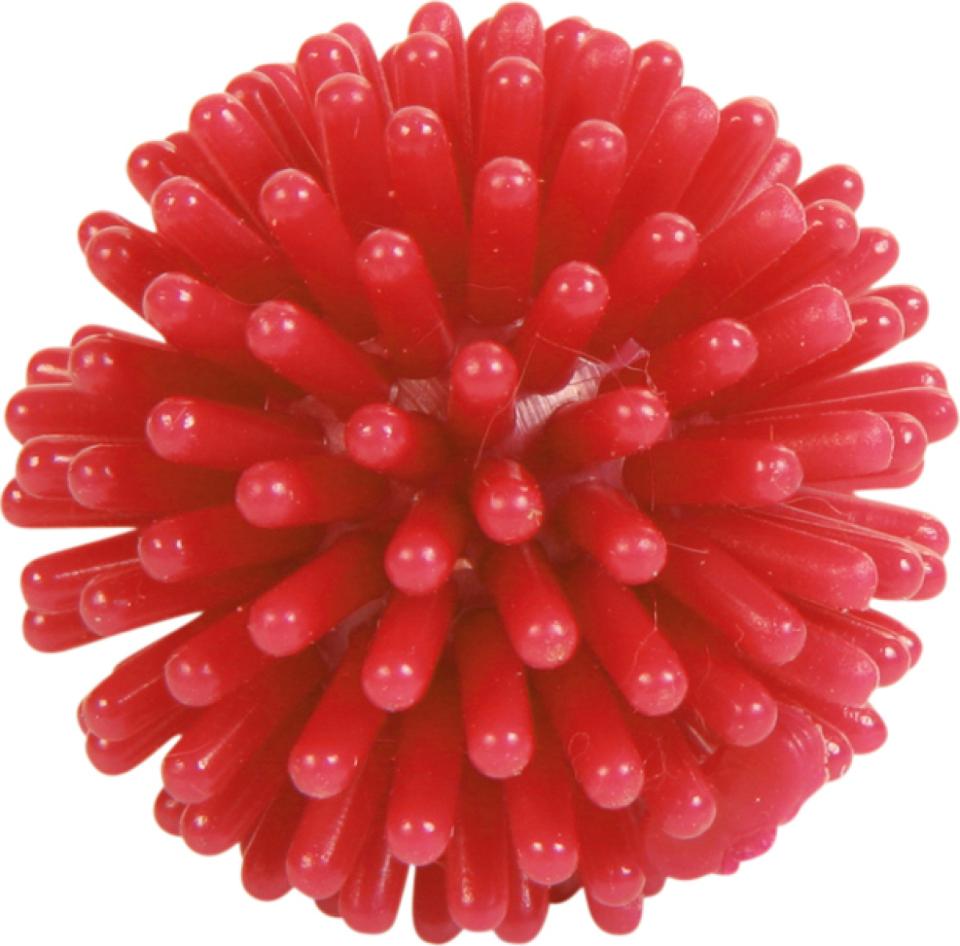 Hedgehog Ball