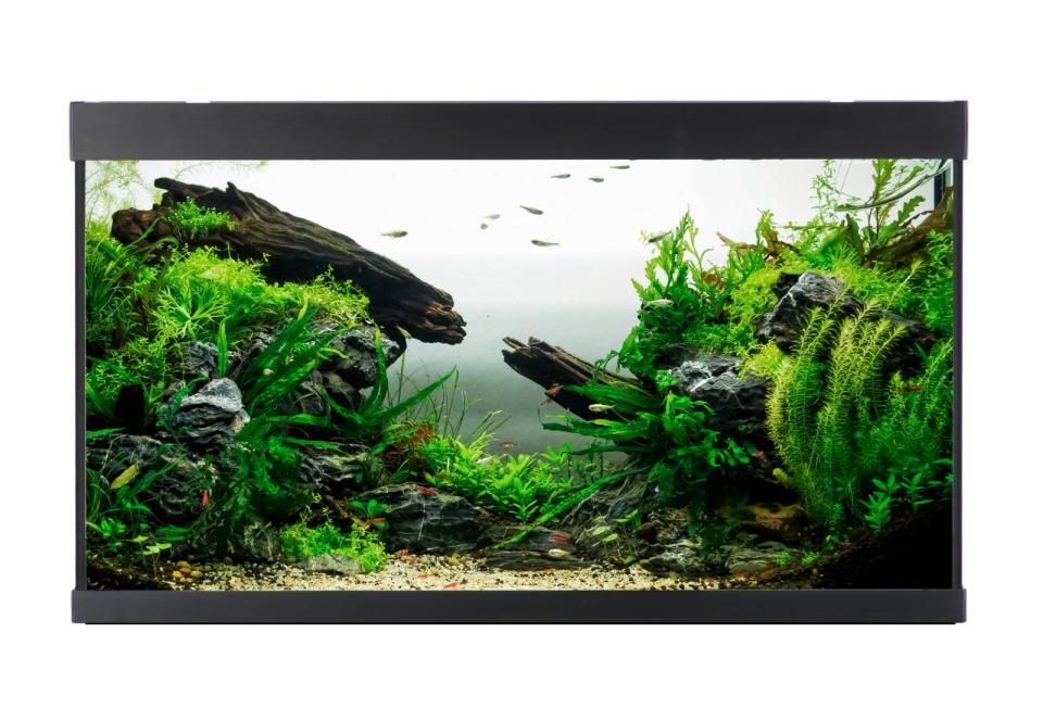 AkvaStabil ELEMENT Aquarium