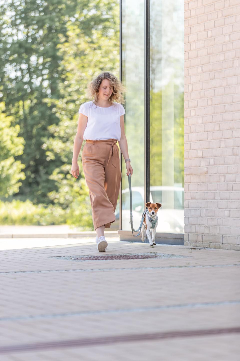 Trixie Premium justerbar line