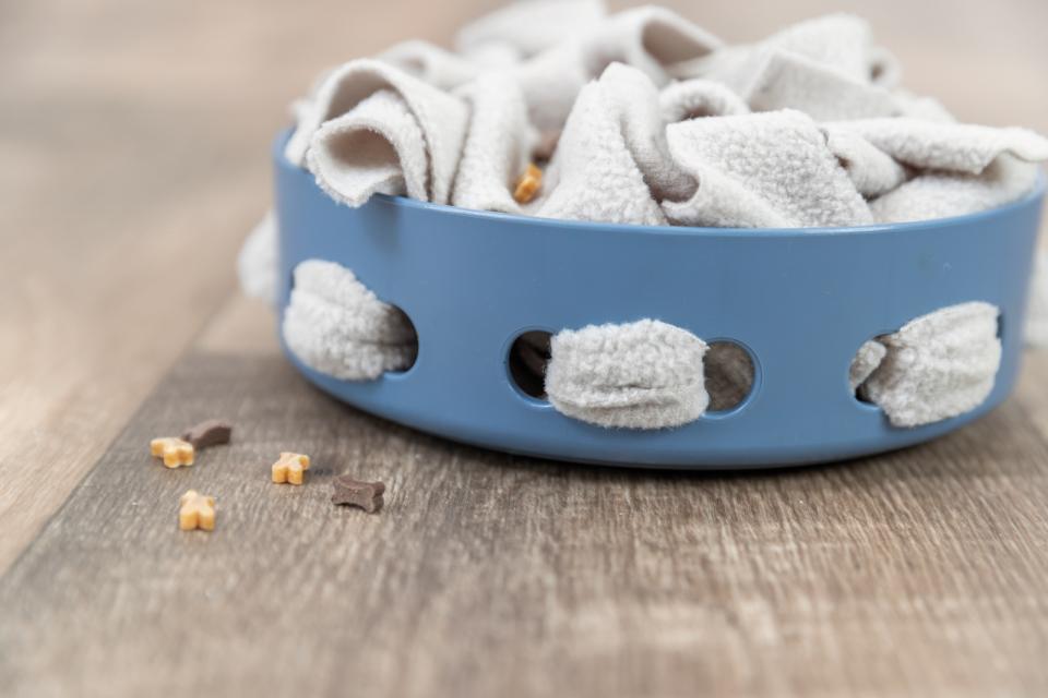 Trixie Dog Activity Hide'n'Sniff Bowl, plast