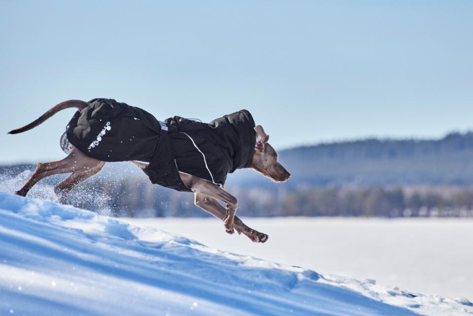 Hurtta Extreme Warmer III ECO dog coat
